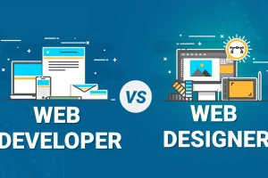 What is a Web Developer vs Web Designer