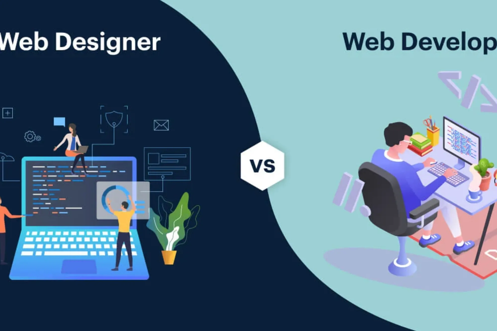 What is a Web Developer vs Web Designer