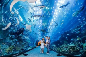 Family-Friendly Activities in Dubai Fun for All Ages